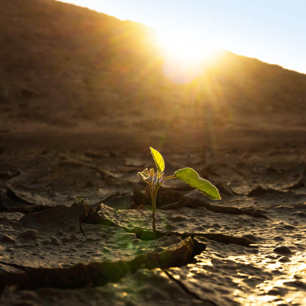 China bond market defaults are not the sign of a debt crisis but the growing pains of a more sustainable credit system