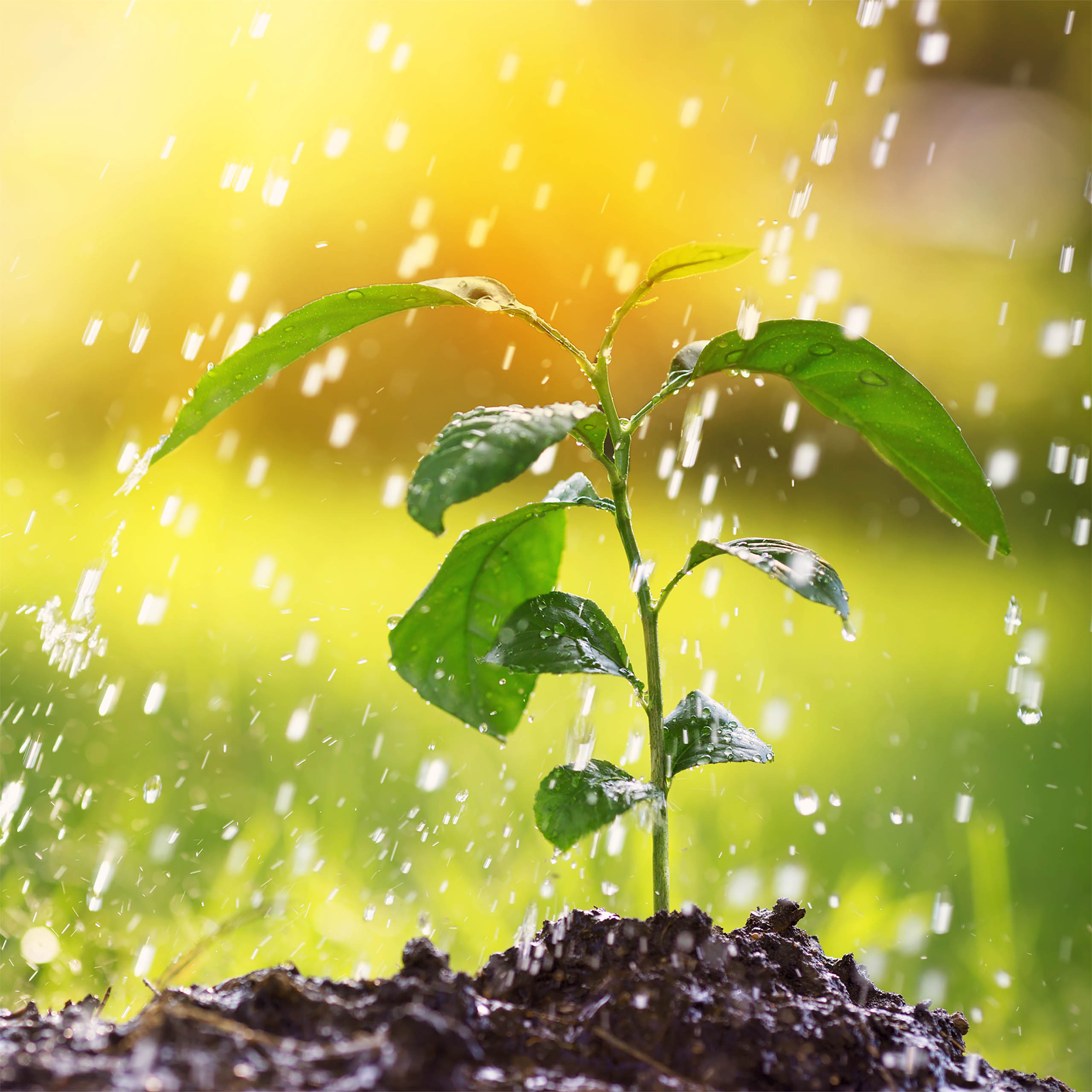 ไฮโดรเจนสีเขียว: ลงทุนในอนาคตของพลังงาน