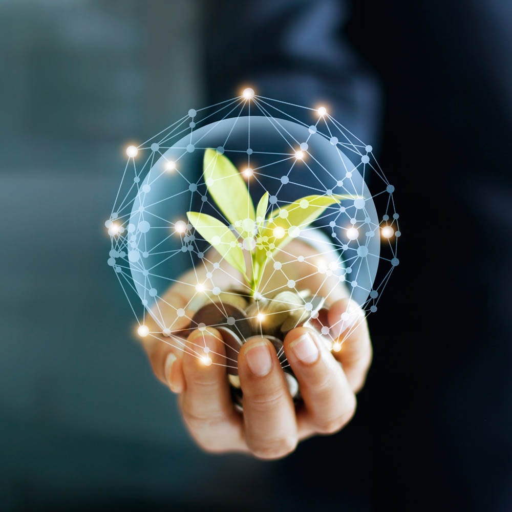 ปกป้องผู้กู้ยืมและเสริมสร้างธุรกิจของเราให้เติบโต