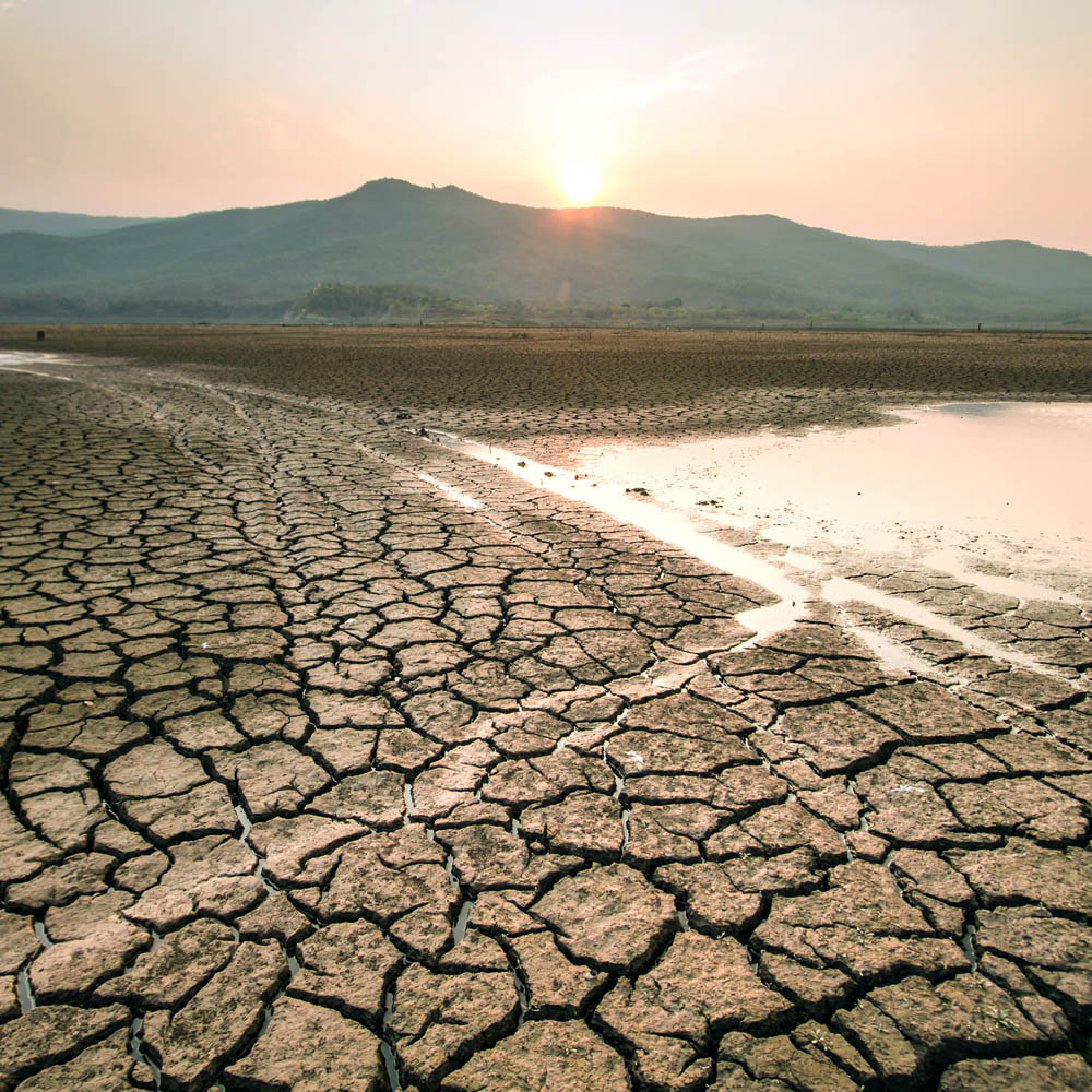 ลงทุนต่อเนื่องแม้ในภาวะวิกฤติสภาพคล่อง
